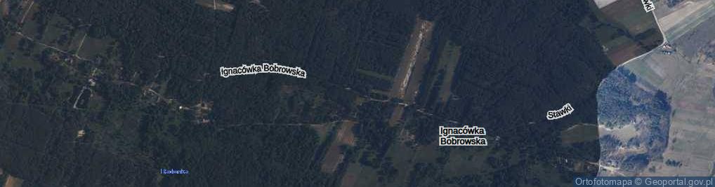 Zdjęcie satelitarne Ignacówka Bobrowska ul.